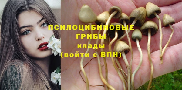 ALPHA PVP Армянск