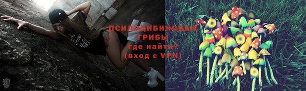 каннабис Аркадак
