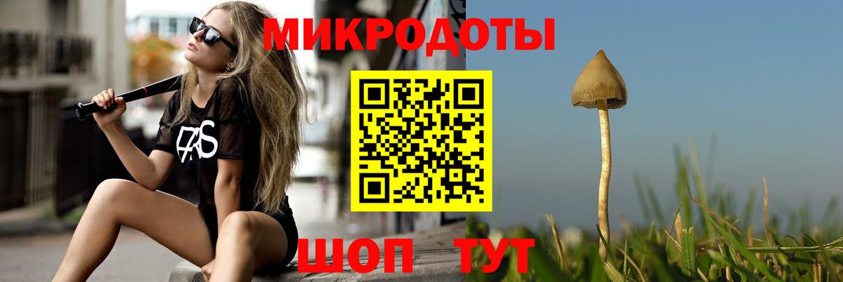 Пушкино  Галлюциногенные грибы Cubensis  Вход с VPN 